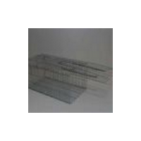 מלכודת לחולדות