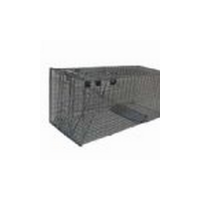 מלכודות רשת לחתולים