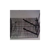 מלכודת רשת למכרסמים