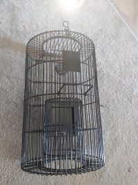 מלכודת חולדות רומנית